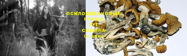 амф Рославль